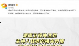 娱乐吃瓜写手,吃瓜手记，带你领略幕后风云