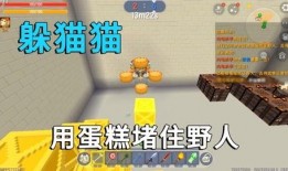 最新爆料迷你世界皮肤版,个性定制，畅享无限创意！