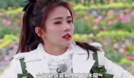 白鹿素人爆料视频,揭秘娱乐圈不为人知的幕后故事